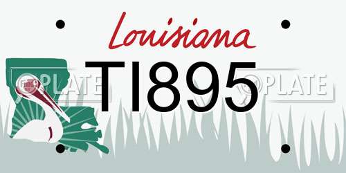 TI895 Louisiana License Plate