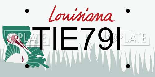 TIE79I Louisiana License Plate