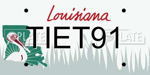 TIET91 Louisiana License Plate