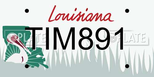 TIM891 Louisiana License Plate