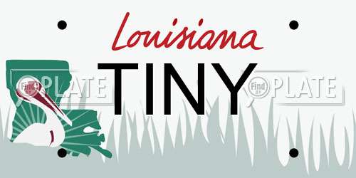 TINY Louisiana License Plate