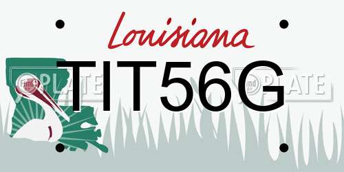 TIT56G Louisiana License Plate