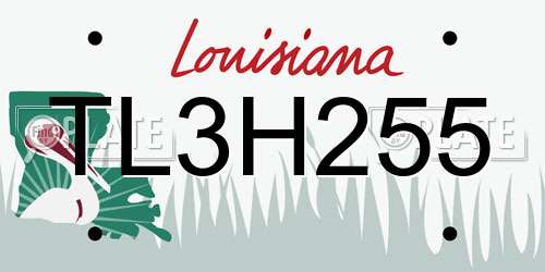TL3H255 Louisiana License Plate
