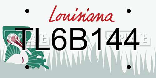 TL6B144 Louisiana License Plate