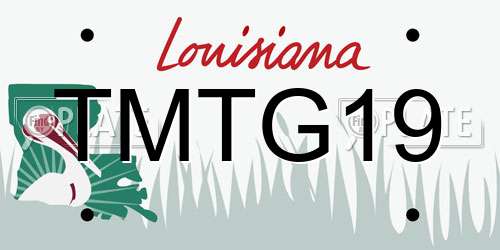 TMTG19 Louisiana License Plate