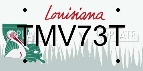 TMV73T Louisiana License Plate