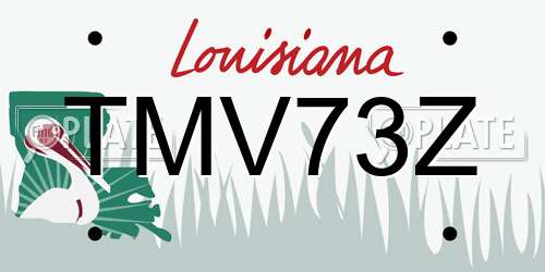 TMV73Z Louisiana License Plate