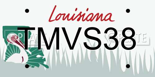 TMVS38 Louisiana License Plate