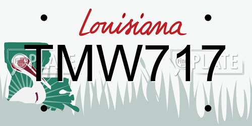 TMW717 Louisiana License Plate