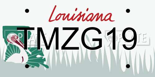 TMZG19 Louisiana License Plate