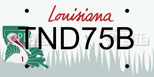 TND75B Louisiana License Plate