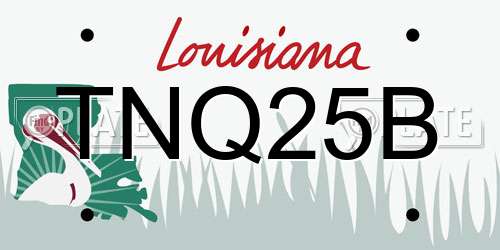 TNQ25B Louisiana License Plate