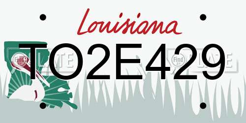 TO2E429 Louisiana License Plate