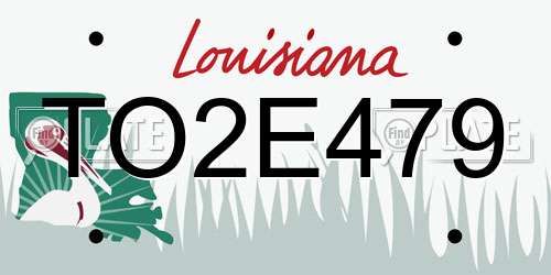 TO2E479 Louisiana License Plate