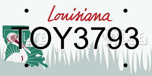 TOY3793 Louisiana License Plate