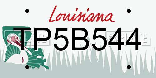 TP5B544 Louisiana License Plate