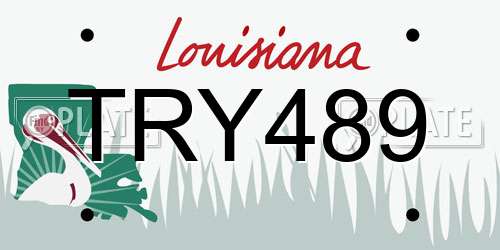TRY489 Louisiana License Plate