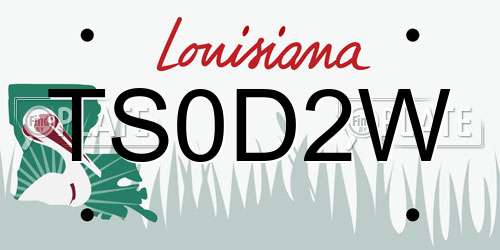 TS0D2W Louisiana License Plate