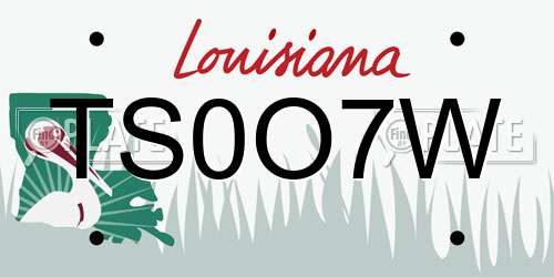 TS0O7W Louisiana License Plate