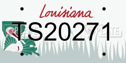 TS20271 Louisiana License Plate