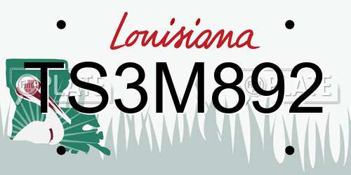 TS3M892 Louisiana License Plate