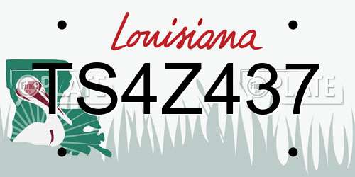 TS4Z437 Louisiana License Plate