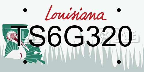 TS6G320 Louisiana License Plate