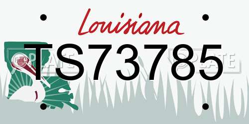 TS73785 Louisiana License Plate