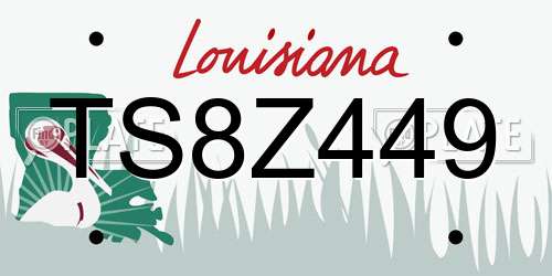 TS8Z449 Louisiana License Plate