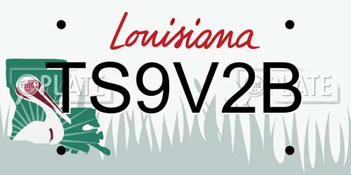 TS9V2B Louisiana License Plate