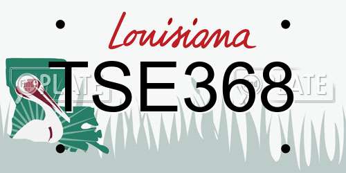 TSE368 Louisiana License Plate