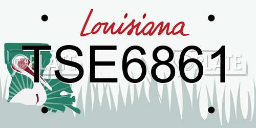 TSE6861 Louisiana License Plate