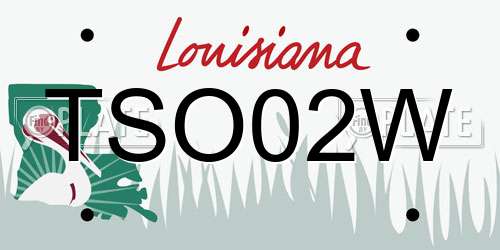 TSO02W Louisiana License Plate