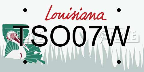 TSO07W Louisiana License Plate