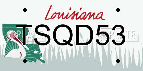 TSQD53 Louisiana License Plate