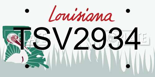 TSV2934 Louisiana License Plate