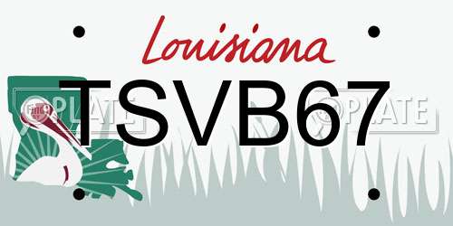TSVB67 Louisiana License Plate