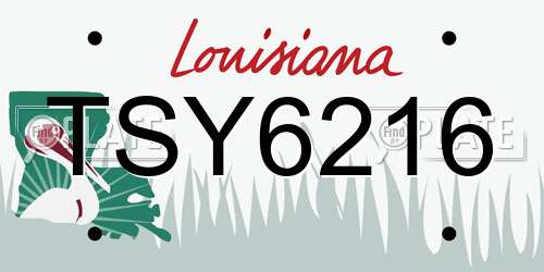 TSY6216 Louisiana License Plate