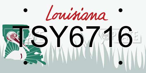 TSY6716 Louisiana License Plate