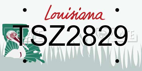 TSZ2829 Louisiana License Plate