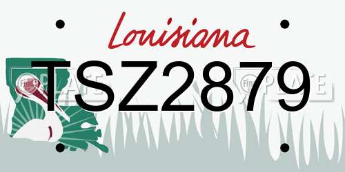 TSZ2879 Louisiana License Plate