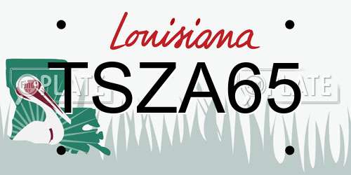 TSZA65 Louisiana License Plate