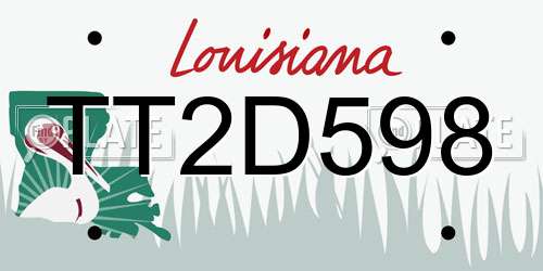 TT2D598 Louisiana License Plate