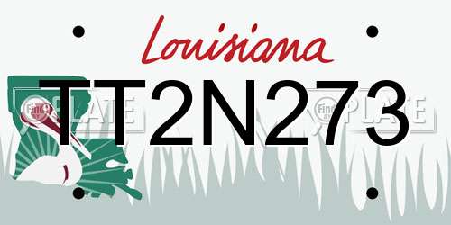 TT2N273 Louisiana License Plate