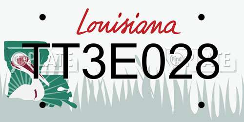 TT3E028 Louisiana License Plate