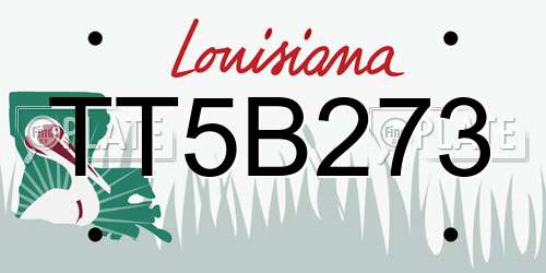 TT5B273 Louisiana License Plate
