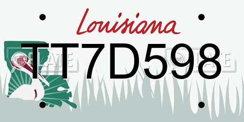 TT7D598 Louisiana License Plate