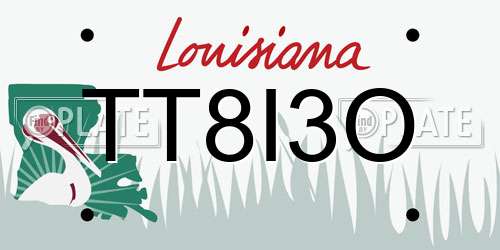 TT8I3O Louisiana License Plate