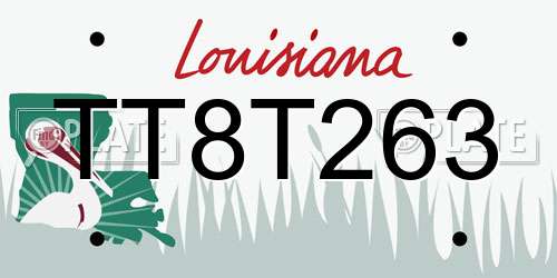 TT8T263 Louisiana License Plate
