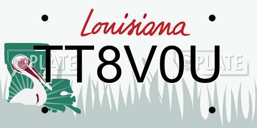 TT8V0U Louisiana License Plate